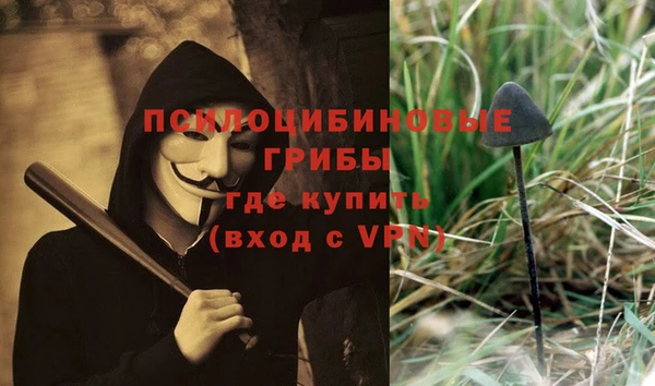 метадон Алексин
