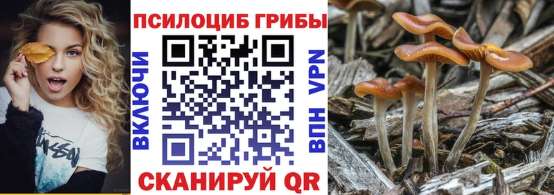 shop клад  Джанкой  Псилоцибиновые грибы прущие грибы 